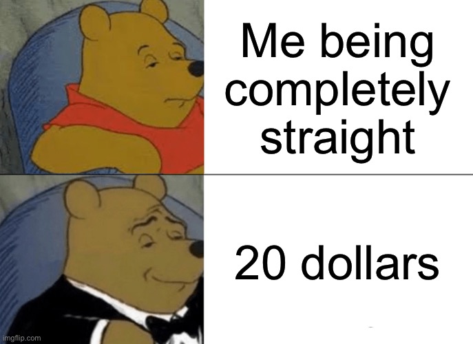 Tuxedo Winnie The Pooh | Me being completely straight; 20 dollars | image tagged in memes,tuxedo winnie the pooh | made w/ Imgflip meme maker