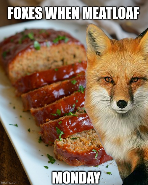 Meatloaf Monday | FOXES WHEN MEATLOAF; MONDAY | image tagged in important,fox,facts | made w/ Imgflip meme maker