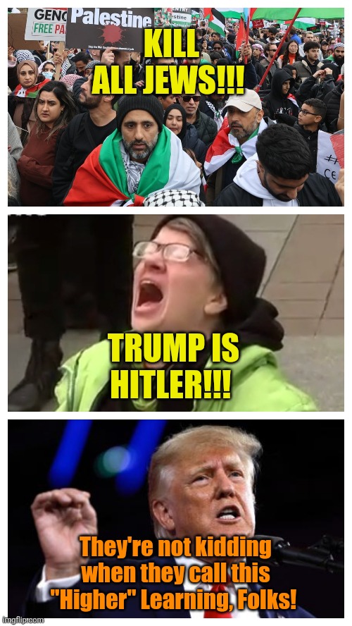 When Virtue-signaling Meets Mixed-messaging. | KILL ALL JEWS!!! TRUMP IS HITLER!!! They're not kidding when they call this "Higher" Learning, Folks! | made w/ Imgflip meme maker