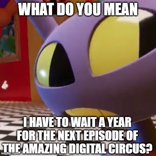 Are you crazy? | WHAT DO YOU MEAN; I HAVE TO WAIT A YEAR FOR THE NEXT EPISODE OF THE AMAZING DIGITAL CIRCUS? | image tagged in jax what | made w/ Imgflip meme maker