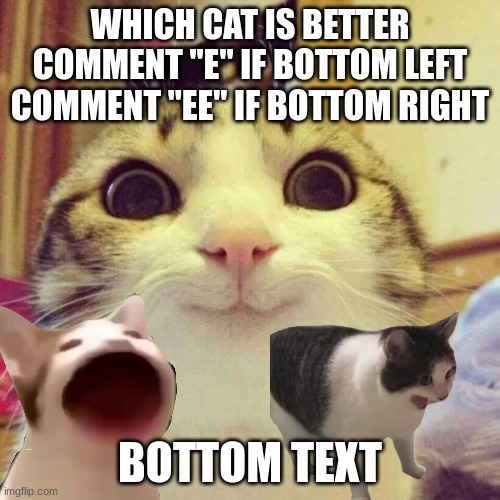 which cat is better | WHICH CAT IS BETTER
COMMENT "E" IF BOTTOM LEFT
COMMENT "EE" IF BOTTOM RIGHT; BOTTOM TEXT | image tagged in memes,smiling cat | made w/ Imgflip meme maker