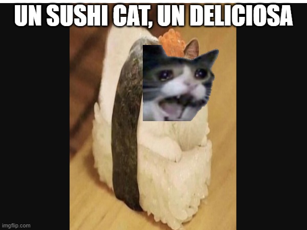 I don't think i would eat it. | UN SUSHI CAT, UN DELICIOSA | made w/ Imgflip meme maker