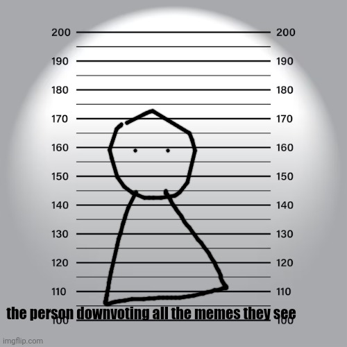 Mugshot | the person downvoting all the memes they see | image tagged in mugshot | made w/ Imgflip meme maker
