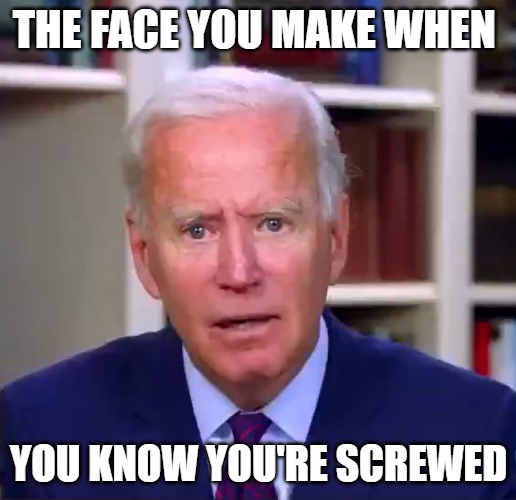 Slow Joe Biden Dementia Face | THE FACE YOU MAKE WHEN YOU KNOW YOU'RE SCREWED | image tagged in slow joe biden dementia face | made w/ Imgflip meme maker
