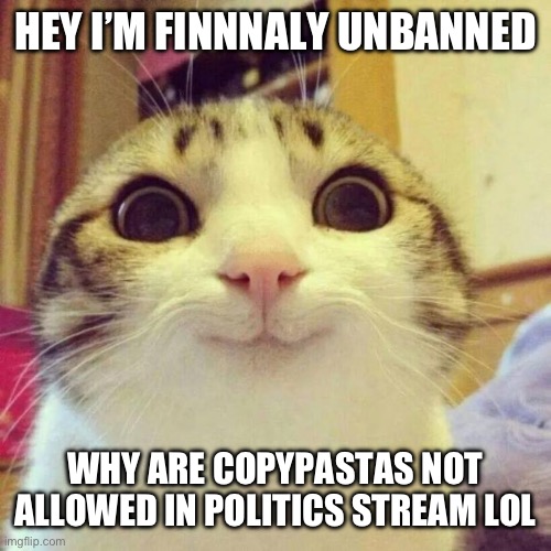 Smiling Cat Meme | HEY I’M FINNNALY UNBANNED; WHY ARE COPYPASTAS NOT ALLOWED IN POLITICS STREAM LOL | image tagged in memes,smiling cat | made w/ Imgflip meme maker