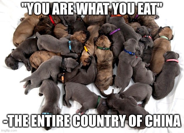 true | "YOU ARE WHAT YOU EAT"; -THE ENTIRE COUNTRY OF CHINA | image tagged in dark humor | made w/ Imgflip meme maker