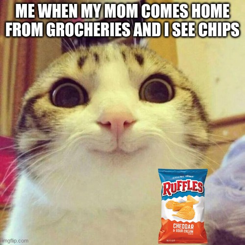 rufflez | ME WHEN MY MOM COMES HOME FROM GROCHERIES AND I SEE CHIPS | image tagged in memes,smiling cat,chips,ruffles,funny,true | made w/ Imgflip meme maker