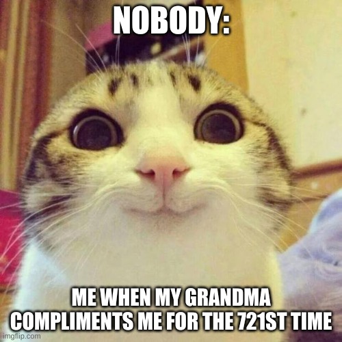 Smiling Cat | NOBODY:; ME WHEN MY GRANDMA COMPLIMENTS ME FOR THE 721ST TIME | image tagged in memes,smiling cat | made w/ Imgflip meme maker
