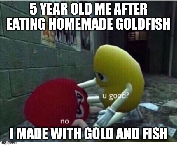 well i tried | 5 YEAR OLD ME AFTER EATING HOMEMADE GOLDFISH; I MADE WITH GOLD AND FISH | image tagged in u good no | made w/ Imgflip meme maker