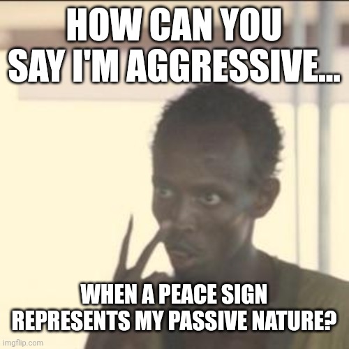 Look At Me Meme | HOW CAN YOU SAY I'M AGGRESSIVE... WHEN A PEACE SIGN REPRESENTS MY PASSIVE NATURE? | image tagged in memes | made w/ Imgflip meme maker