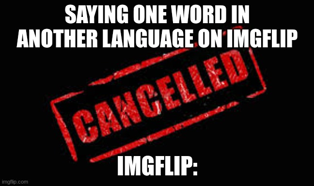 racism?!?!?!?! | SAYING ONE WORD IN ANOTHER LANGUAGE ON IMGFLIP; IMGFLIP: | image tagged in cancelled | made w/ Imgflip meme maker