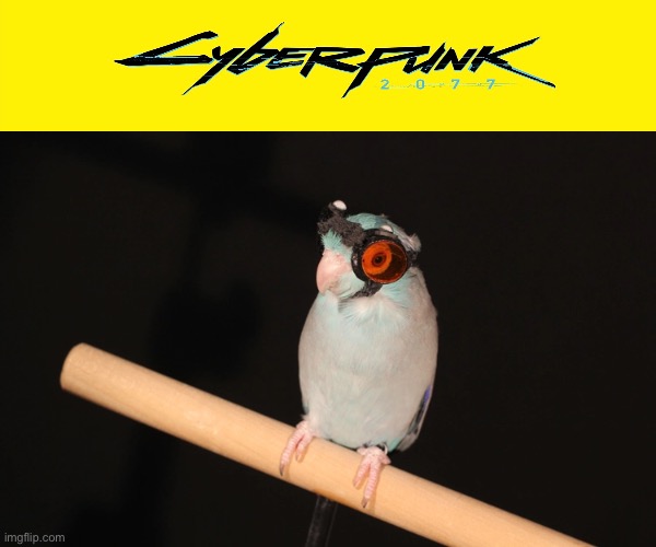Chromed Up Bird | image tagged in cyberpunk,birds,bird,funny animal meme,animal meme,gaming | made w/ Imgflip meme maker