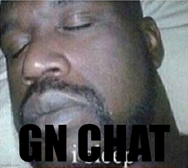 Internet | GN CHAT | image tagged in shaq i sleep only | made w/ Imgflip meme maker