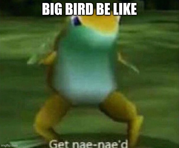 Get nae-nae'd | BIG BIRD BE LIKE | image tagged in get nae-nae'd | made w/ Imgflip meme maker