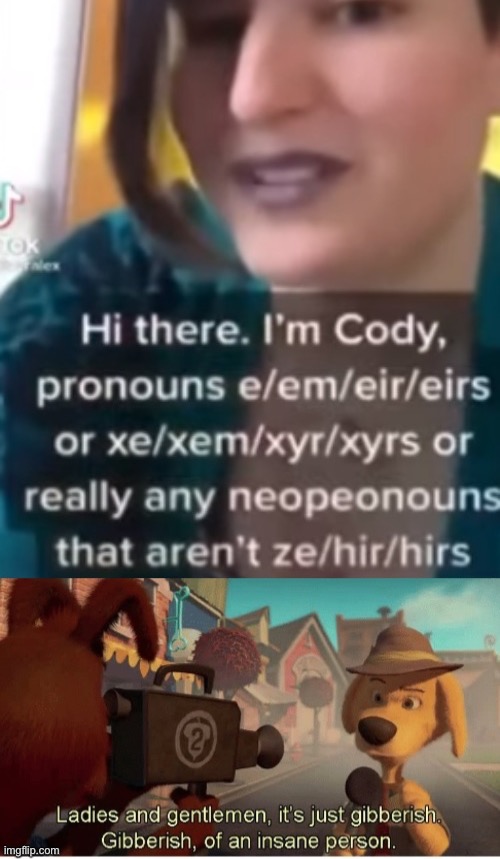 i respect most LGB people but i’m convinced that this person is just makin up stuff | made w/ Imgflip meme maker