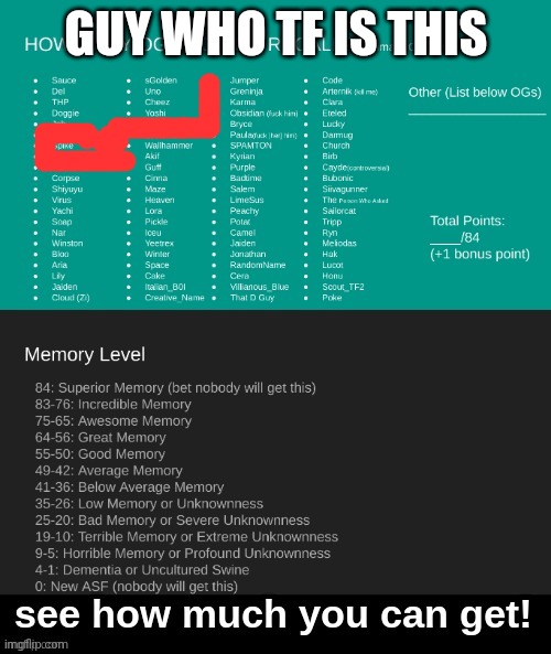 ultimate og test | GUY WHO TF IS THIS | image tagged in ultimate og test | made w/ Imgflip meme maker