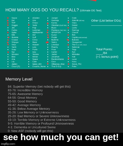 Idk why I did this I just saw it | image tagged in ultimate og test | made w/ Imgflip meme maker