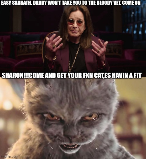 EASY SABBATH, DADDY WON'T TAKE YOU TO THE BLOODY VET, COME ON; SHARON!!!COME AND GET YOUR FKN CAT,ES HAVIN A FIT | image tagged in ozzy osbourne,evil cat | made w/ Imgflip meme maker