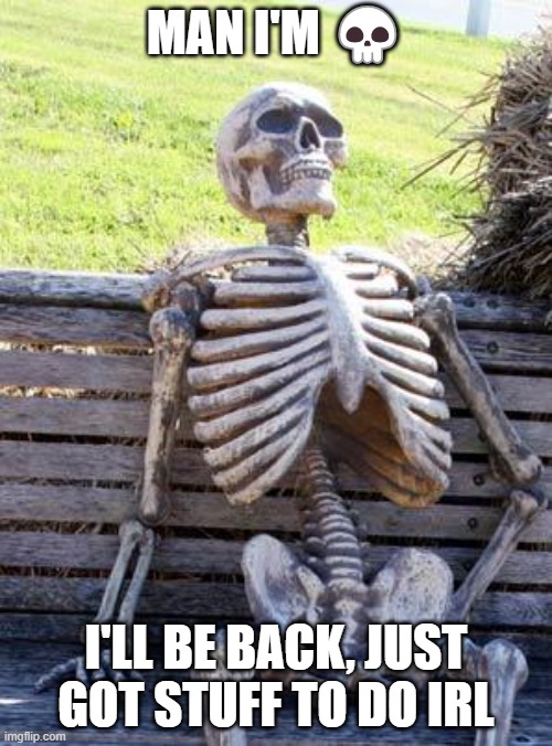 I'm still alive btw | MAN I'M 💀; I'LL BE BACK, JUST GOT STUFF TO DO IRL | image tagged in memes,waiting skeleton | made w/ Imgflip meme maker