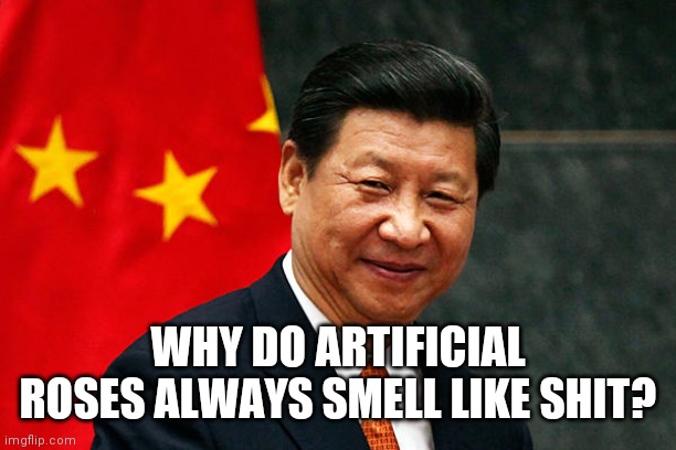 Xi Jinping | WHY DO ARTIFICIAL ROSES ALWAYS SMELL LIKE SHIT? | image tagged in xi jinping | made w/ Imgflip meme maker
