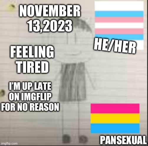 Daily announcement 11/13/2023 | NOVEMBER 13,2023; HE/HER; FEELING TIRED; I’M UP LATE ON IMGFLIP
FOR NO REASON; PANSEXUAL | image tagged in pokechimp announcement | made w/ Imgflip meme maker
