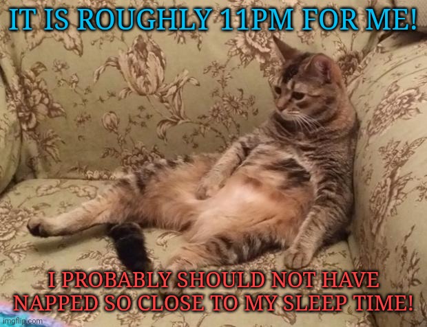 Mocha Chilling | IT IS ROUGHLY 11PM FOR ME! I PROBABLY SHOULD NOT HAVE NAPPED SO CLOSE TO MY SLEEP TIME! | image tagged in mocha chilling | made w/ Imgflip meme maker