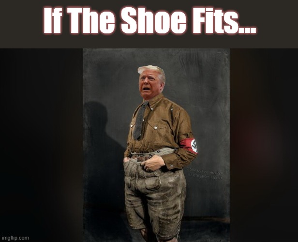 President Vermin | If The Shoe Fits... | image tagged in adolf hitler,donald trump,nevertrump,donald trump the clown | made w/ Imgflip meme maker