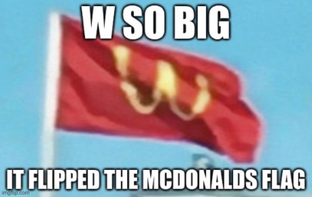 W So Big It Flipped The McDonalds Flag | image tagged in w so big it flipped the mcdonalds flag | made w/ Imgflip meme maker