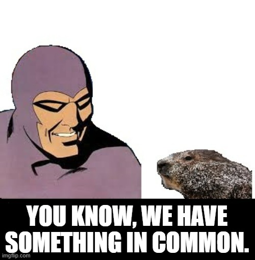 YOU KNOW, WE HAVE SOMETHING IN COMMON. | image tagged in the phantom,punxsutawney phil | made w/ Imgflip meme maker