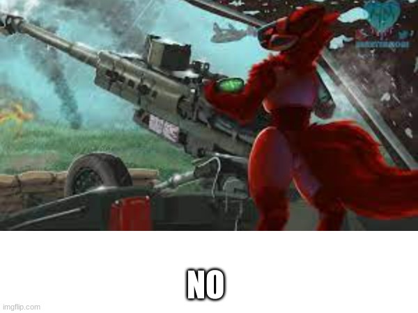 NO | made w/ Imgflip meme maker