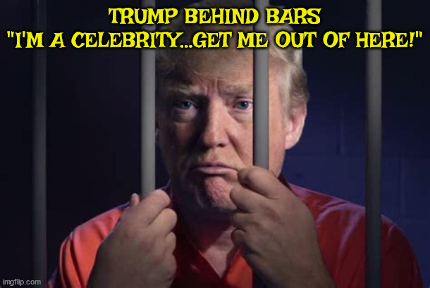 Get Me Out of here | TRUMP BEHIND BARS





"I'M A CELEBRITY…GET ME OUT OF HERE!" | image tagged in donald trump,tv show,prison,maga,victim trump,jail | made w/ Imgflip meme maker