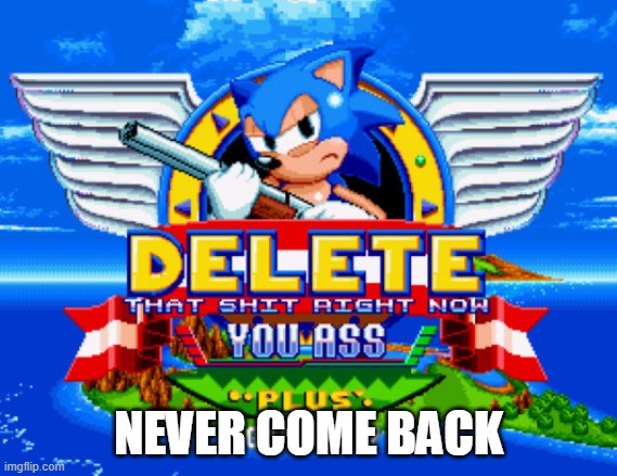 Sonic holding a shotgun to tell you to delete | NEVER COME BACK | image tagged in sonic holding a shotgun to tell you to delete | made w/ Imgflip meme maker