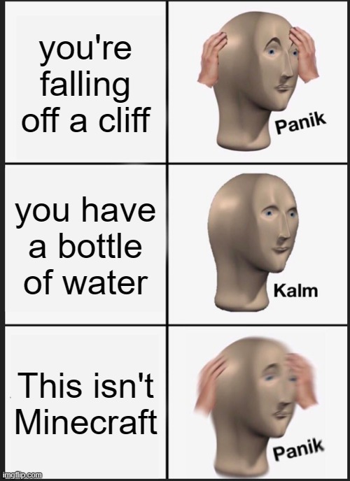 reality | you're falling off a cliff; you have a bottle of water; This isn't Minecraft | image tagged in memes,panik kalm panik | made w/ Imgflip meme maker