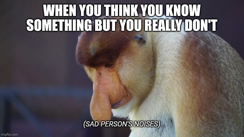 Monkey | WHEN YOU THINK YOU KNOW SOMETHING BUT YOU REALLY DON'T; (SAD PERSON'S NOISES) | image tagged in smutny nosacz | made w/ Imgflip meme maker