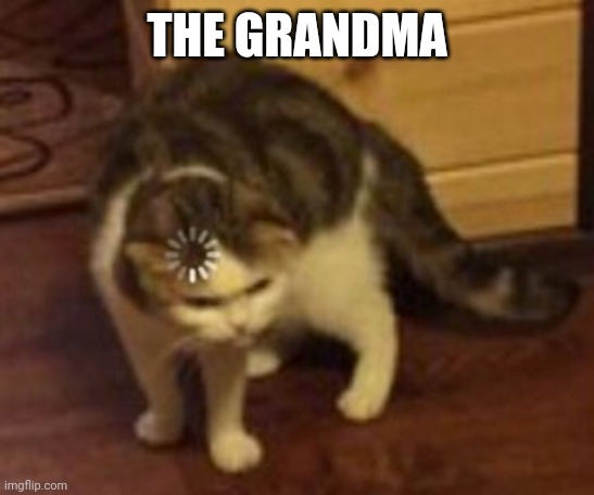 Loading cat | THE GRANDMA | image tagged in loading cat | made w/ Imgflip meme maker