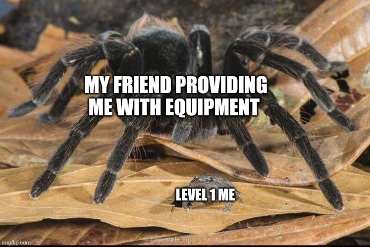 New meme template | MY FRIEND PROVIDING ME WITH EQUIPMENT; LEVEL 1 ME | image tagged in spider and frog | made w/ Imgflip meme maker