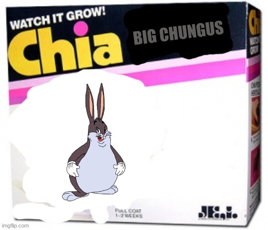 rejected chia pets volume 2 | BIG CHUNGUS | image tagged in chia pet blank,big chungus,rejected,fake | made w/ Imgflip meme maker