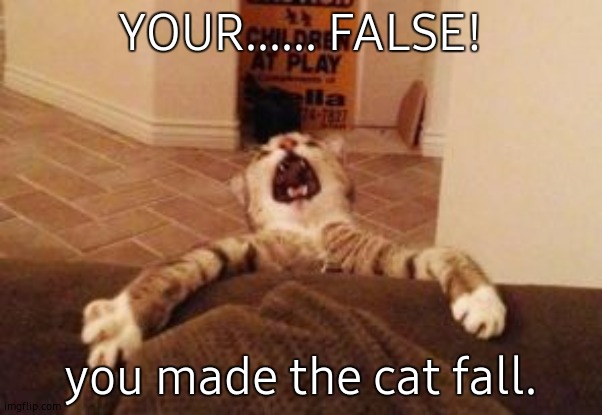 Cat Falling | YOUR...... FALSE! you made the cat fall. | image tagged in cat falling | made w/ Imgflip meme maker