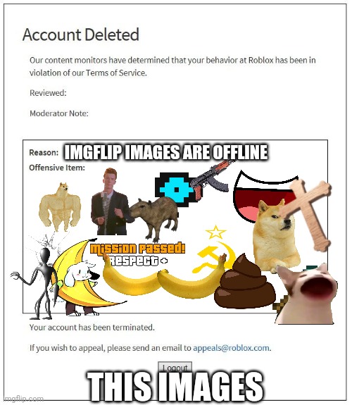 :( | IMGFLIP IMAGES ARE OFFLINE; THIS IMAGES | image tagged in account deleted roblox | made w/ Imgflip meme maker