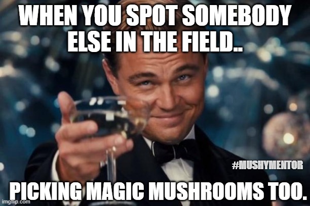 MAGIC MUSHROOMS | WHEN YOU SPOT SOMEBODY ELSE IN THE FIELD.. #MUSHYMENTOR; PICKING MAGIC MUSHROOMS TOO. | image tagged in memes,leonardo dicaprio cheers | made w/ Imgflip meme maker