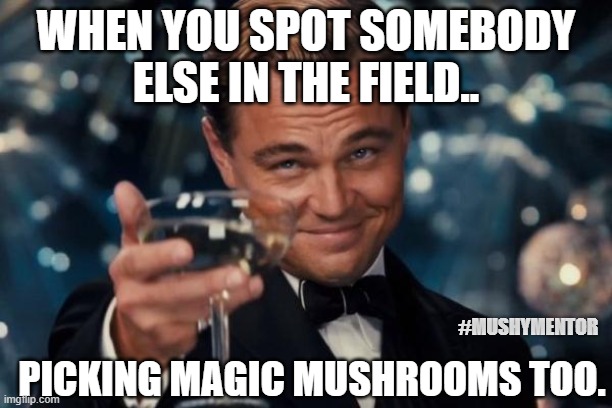 Magic Mushrooms Imgflip