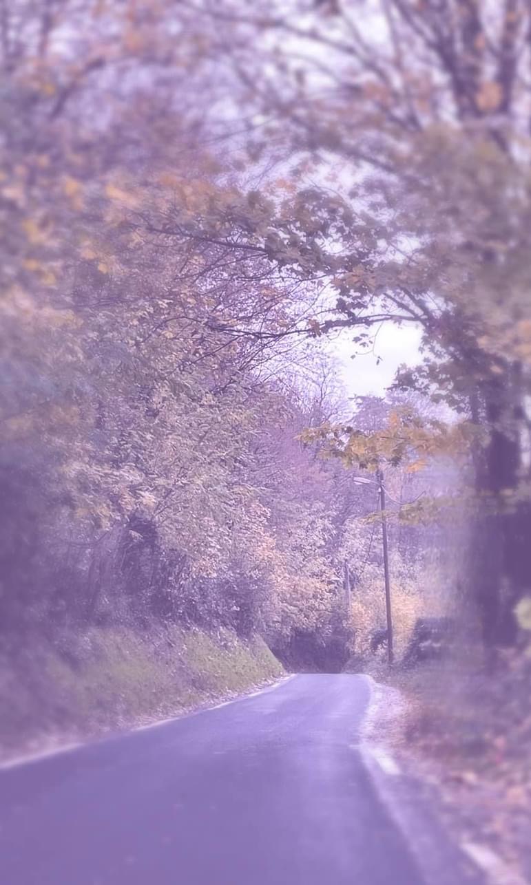 High Quality Winding fall road Blank Meme Template