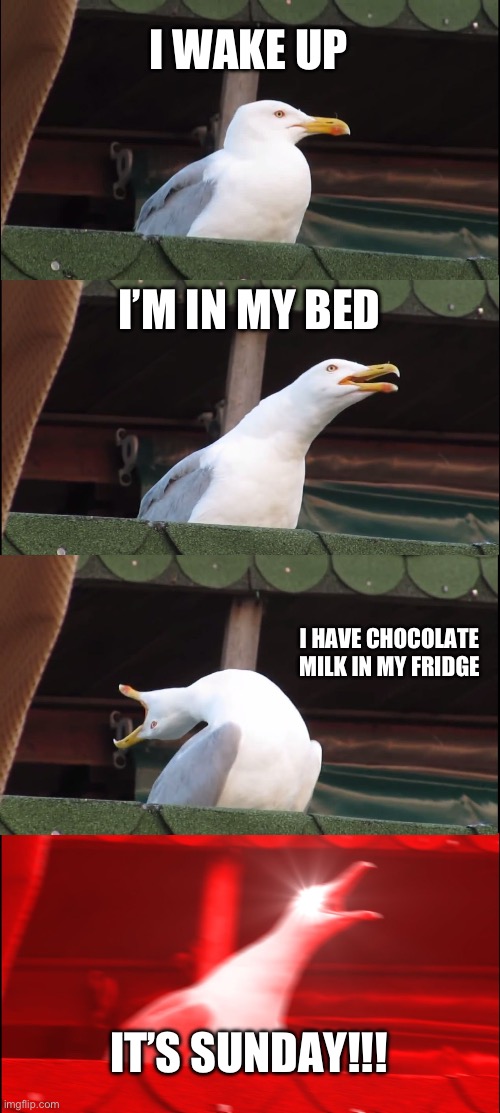 Perfect weekend | I WAKE UP; I’M IN MY BED; I HAVE CHOCOLATE MILK IN MY FRIDGE; IT’S SUNDAY!!! | image tagged in memes,inhaling seagull | made w/ Imgflip meme maker