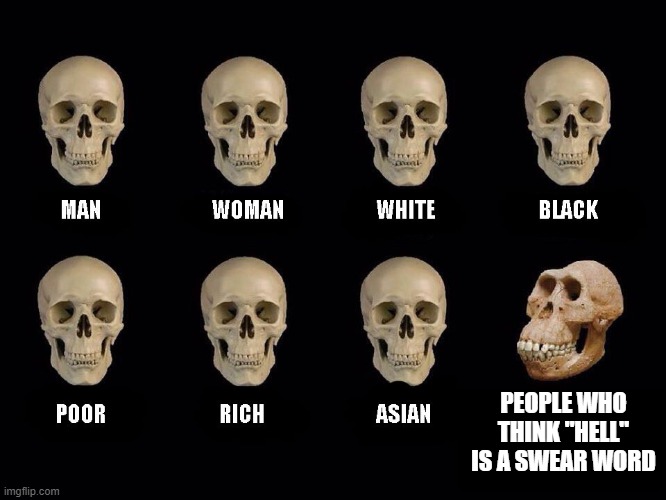 empty skulls of truth | PEOPLE WHO THINK "HELL" IS A SWEAR WORD | image tagged in empty skulls of truth,hell,what the hell | made w/ Imgflip meme maker