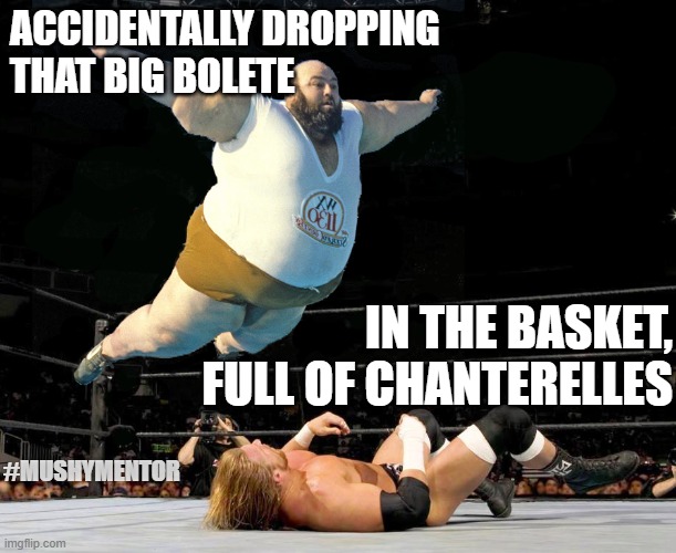 Body slam | ACCIDENTALLY DROPPING 
THAT BIG BOLETE; IN THE BASKET, FULL OF CHANTERELLES; #MUSHYMENTOR | image tagged in body slam | made w/ Imgflip meme maker