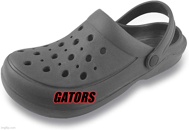 Off brand crocs | GATORS | image tagged in dumb | made w/ Imgflip meme maker