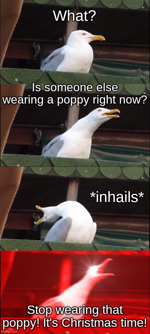 What kind of Canadian would want to wear a poppy after November 11th? C'mon y'all! | What? Is someone else wearing a poppy right now? *inhails*; Stop wearing that poppy! It's Christmas time! | image tagged in memes,inhaling seagull | made w/ Imgflip meme maker