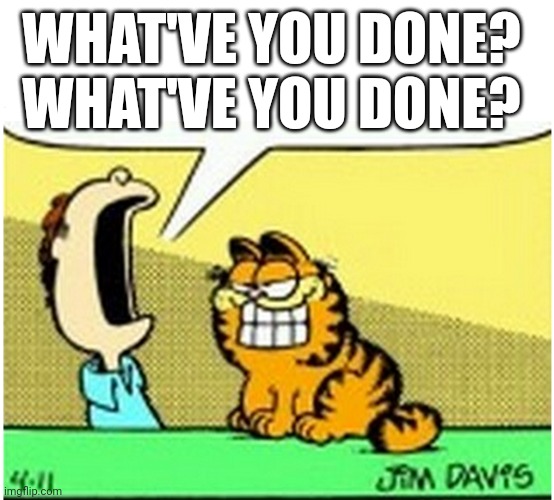 Jon Arbuckle yelling at Garfield the cat | WHAT'VE YOU DONE? 
WHAT'VE YOU DONE? | image tagged in jon arbuckle yelling at garfield the cat | made w/ Imgflip meme maker