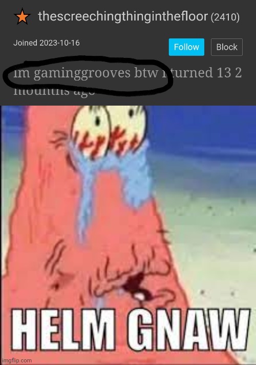 GAMINGGROVES ALT DECTECTED | image tagged in helm gnaw | made w/ Imgflip meme maker