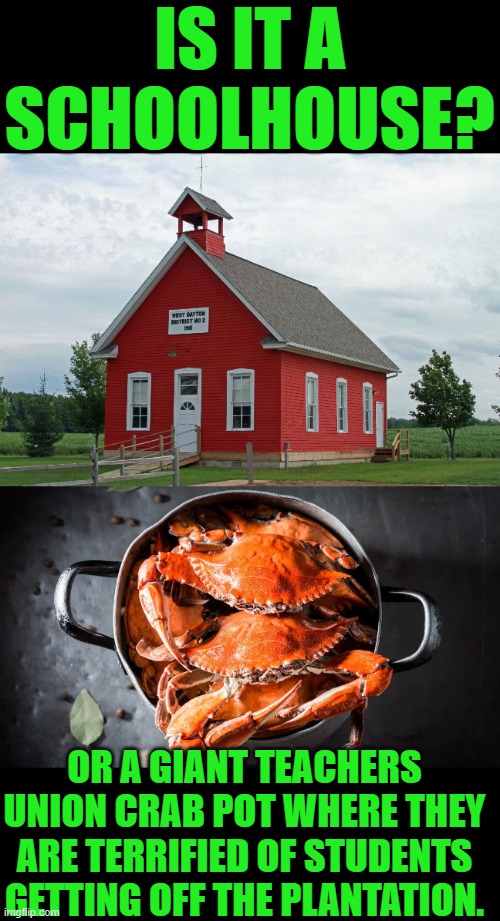 Yep | IS IT A SCHOOLHOUSE? OR A GIANT TEACHERS UNION CRAB POT WHERE THEY ARE TERRIFIED OF STUDENTS GETTING OFF THE PLANTATION. | image tagged in democrats,teachers union | made w/ Imgflip meme maker